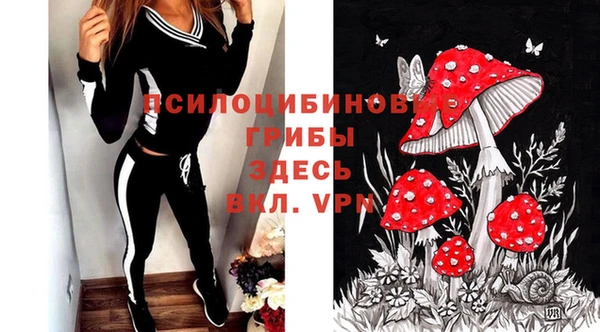 ГАЛЛЮЦИНОГЕННЫЕ ГРИБЫ Медногорск