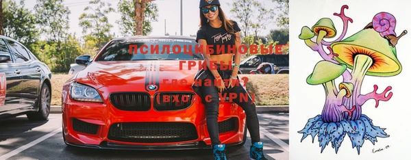 гидра Магадан