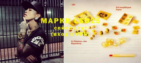 ГАЛЛЮЦИНОГЕННЫЕ ГРИБЫ Медногорск