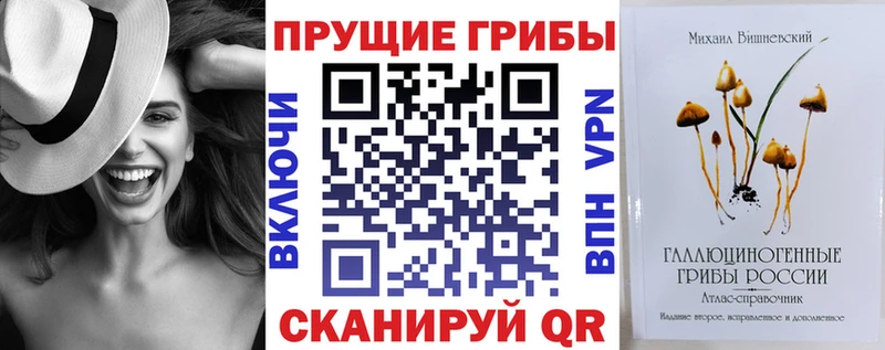 Галлюциногенные грибы Psilocybe  Купить  Александровск-Сахалинский 